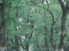 -万佛湖风景区