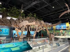 -国家自然博物馆