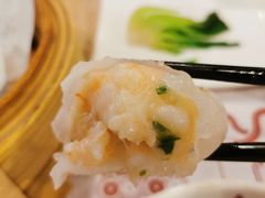 金牌虾饺皇-点都德(大茶楼店)