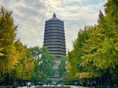-玲珑塔公园