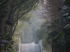 -同里国家湿地公园