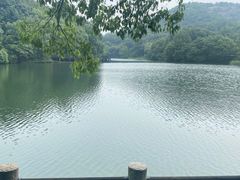 -白马涧龙池景区