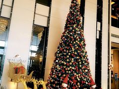 -富力希尔顿酒店·地阔自助餐厅