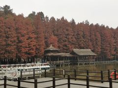 -采石矶景区