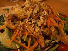 日式照烧鸡肉沙拉-萨尔瓦多Salvador's