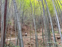 -敬亭山风景名胜区