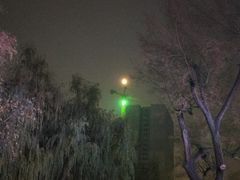 -金家休闲餐吧(金家小吃四店)