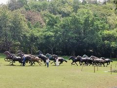 -广州雕塑公园