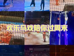 -上海马戏城