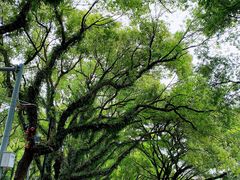 -桂林两江四湖景区