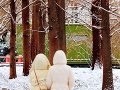 -银树楼(紫玉山庄东区店)