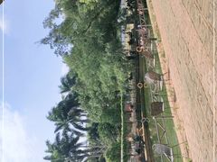 -侯臣咖啡文化村