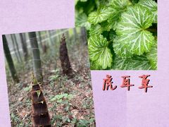 -南山风景名胜区