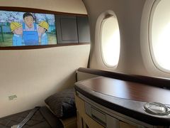 -新加坡航空公司(ION)