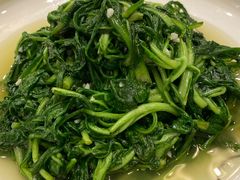 蒜泥木耳菜-大鹏饭店·金陵家宴(奥体中心店)