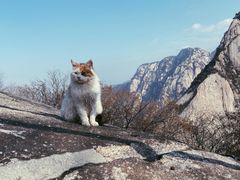 -华山风景名胜区