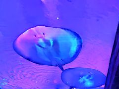 -波塞冬旅游度假区