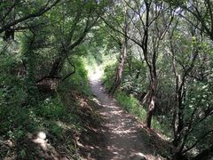 -阳台山自然风景区