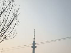 -青岛电视塔
