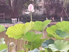 -西安市长乐公园