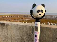 -南汇嘴观海公园