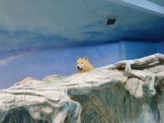-哈尔滨极地公园