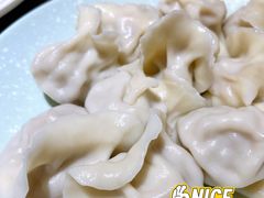 酸菜猪肉馅饺子-老边饺子馆(金源店)