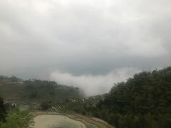 -紫鹊界梯田景区
