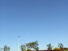 -九里河湿地公园