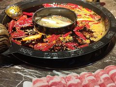 -渝大狮毛肚老火锅(遂宁万达店)