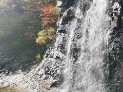 -龙道沟景区