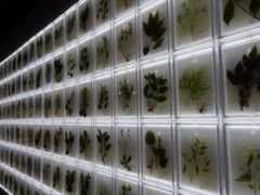 -广东中医药博物馆