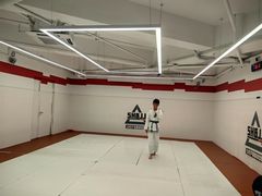 -DEFGROUP·巴西柔术·拳击·摔跤(世纪大道馆)