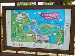 -鹅湖玫瑰文化园