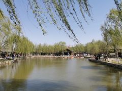 -杨柳青庄园