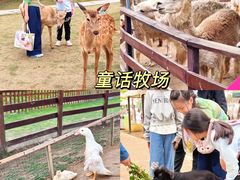 -盈香心动乐园