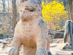 -大觉寺-停车场