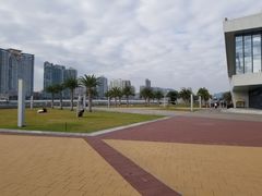 -野狸岛