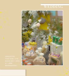 -HELLO你好婚礼婚庆策划