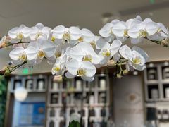 -Peet's Coffee皮爷咖啡(新天地黑标店)