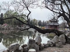 -莲池书院博物馆
