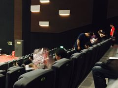 -红星电影世界上海张江绿地店