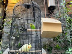 -重庆十八梯传统风貌区