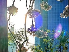 -春熙路步行街