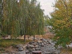 -莲花池公园