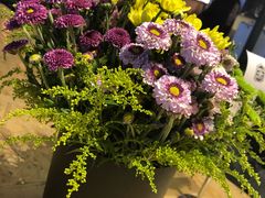 -Moka Bros 摩卡站(西单大悦城店)