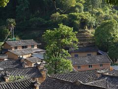 -杨家堂村