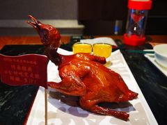-大鸽饭(北京路店)