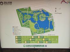 -大兴滨河森林公园