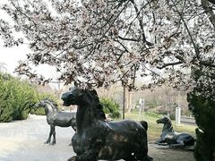 -元大都城垣遗址公园